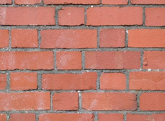 Nested Image 01