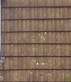 Monster Image 04
