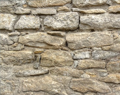 Monster Image 04